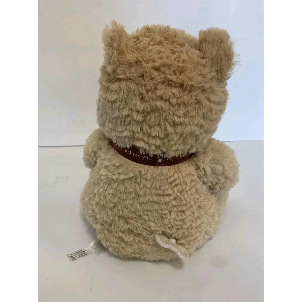 Disney Baby Winnie The Pooh Plush Musical Bear Holding Honey Pot Wind Up Music